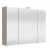 Spiegelschrank SASL10 3 Spiegeltüren, 6 Glaseinlegeböden, inkl. Schalter und Steckdose, inkl. LED Aufbauleuhte ASL80 - 100x70,3x17 cm